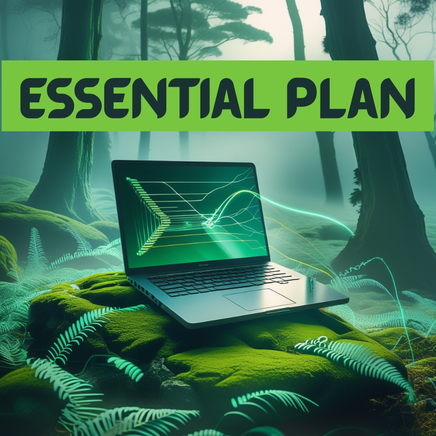 Essential Plan
